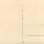 Zürichseegefrörne 1929