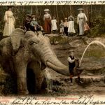 Zürichberg - Elephantenbach