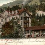 Grubisbalm am Rigiberg