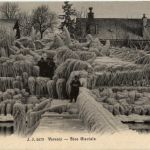 Versoix - Bise Glaciale