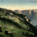 Braunwald von der Rietalp
