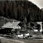 Lenk