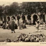 Ile de Djerba - La Marche