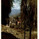 Tovar