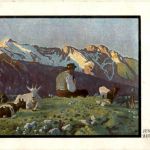 Junghanns - Auf der Alm - Goat Ziegen