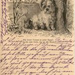 Hund - Dog