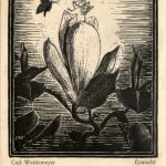 Carl Weidemeyer