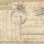 Daheim in den Bergen