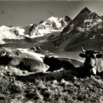 Moiry