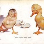 Ente Huhn