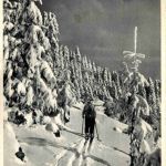 Ski