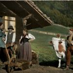 Bauern - Künzli
