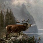 Hirsch