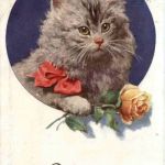 Katze