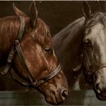 Pferd Horse