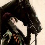 Pferd Horse