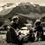 Kind mit Ziegen - Goat