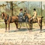 Pferde Kutsche - Litho