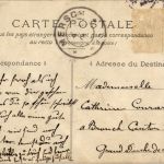 Robinson - Un ane recalcilrant