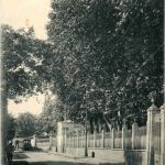 Bagnolet - Rue Sadi Carnot