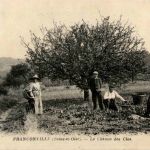 Franconville - Le Chemin des Clos