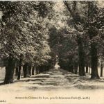 St. Brice sous Foret