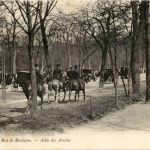 Paris - Bois de Boulogne