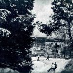 Kohlhof im Winter