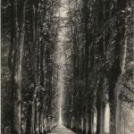 Plön - Wasserallee