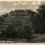 Bad Münster am Stein - Ebernburg