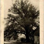 Schönenberg ob Ellwangen