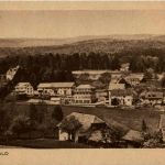 Der Hohwald