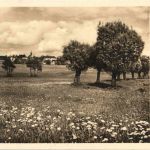 Schwand