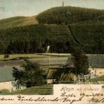Hayn mit Hochwald