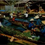 Dhonburi - Floating Market