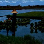 Thai Farmer