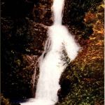 Nikko