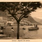 Limone - Giardini dei Limont