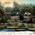 St. Paul - Lily Pond