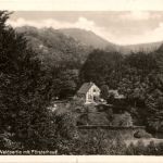 Lübbecke - Waldpartie mit Försterhaus