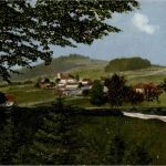 Mauth