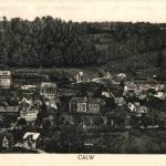 Calw