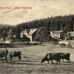 Braunlage - Hotel Waldmühle