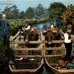 Spreewald - Viehtransport