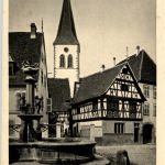 Ammerschweier