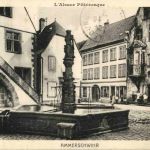 Ammerschweier