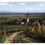 Ammerschweier