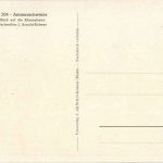 Ammerschweier