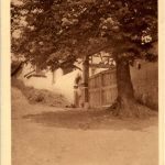 Auenheim