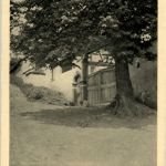 Auenheim